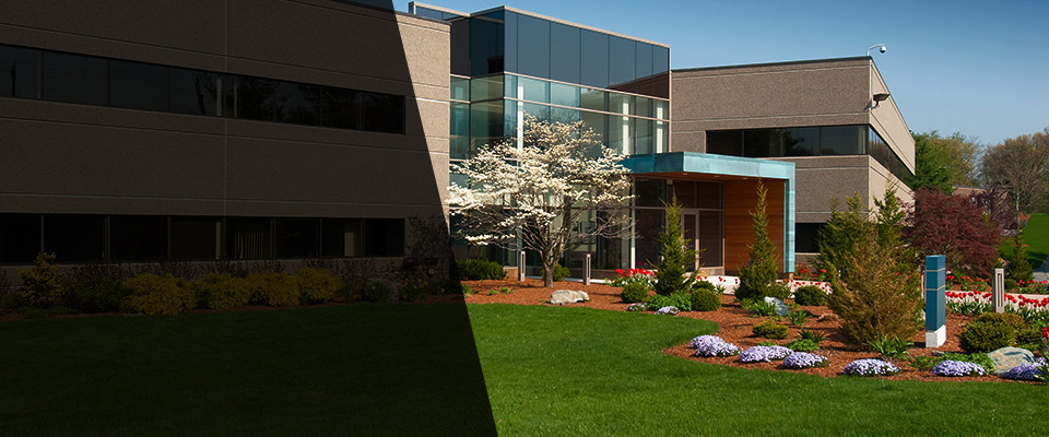 Winter Springs Landscapers