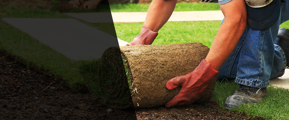 Winter Springs Landscapers